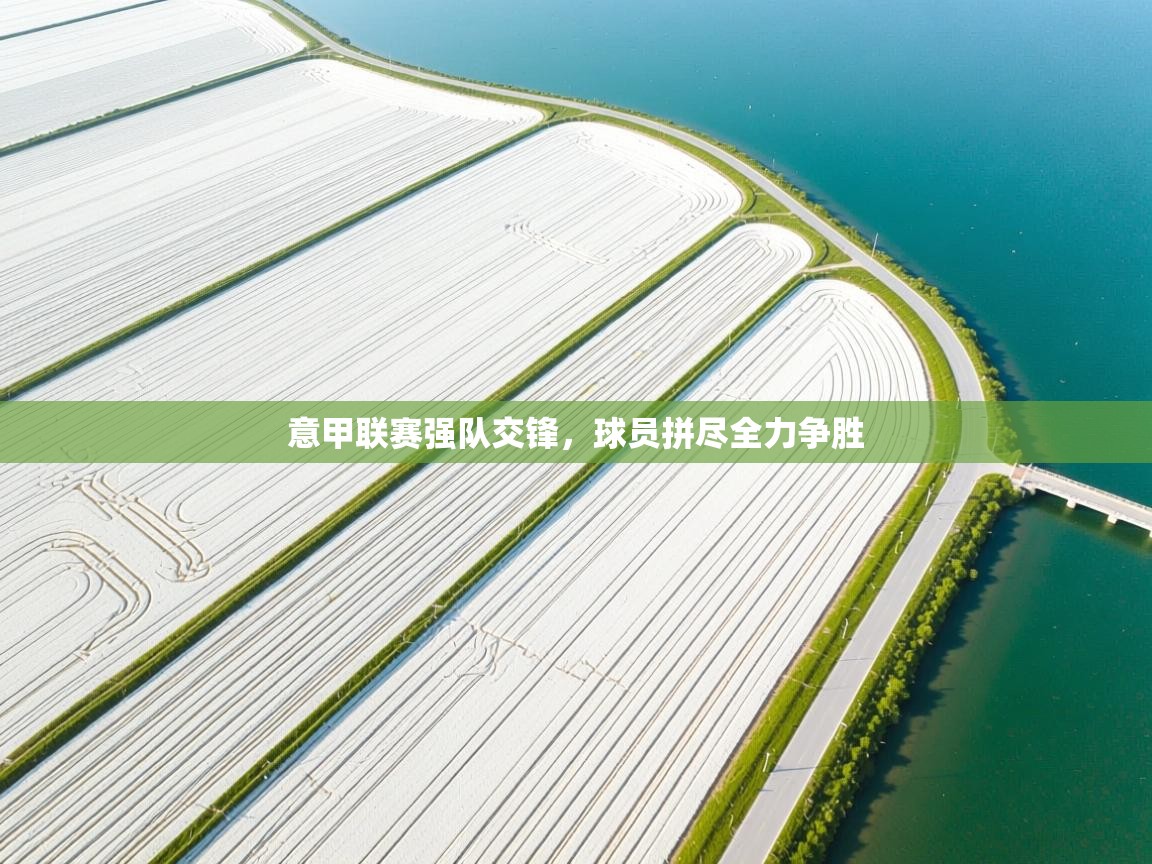 意甲联赛强队交锋,球员拼尽全力争胜 第2张