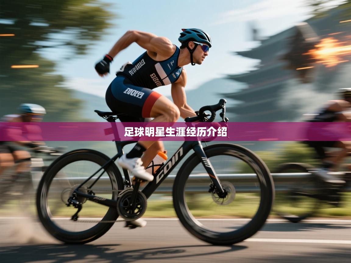 足球明星生涯经历介绍